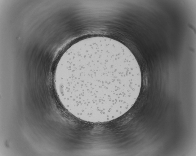 X0000103490388200810241106