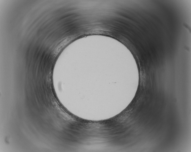 X0000103490389200810241106