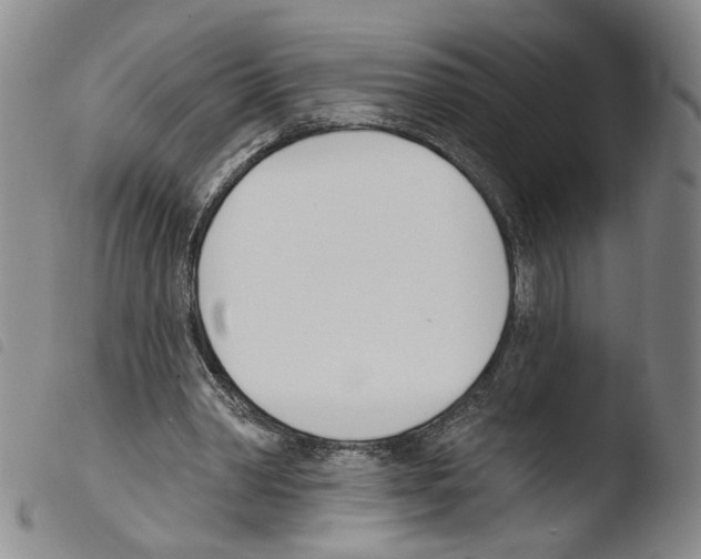 X0000103490390200810241106