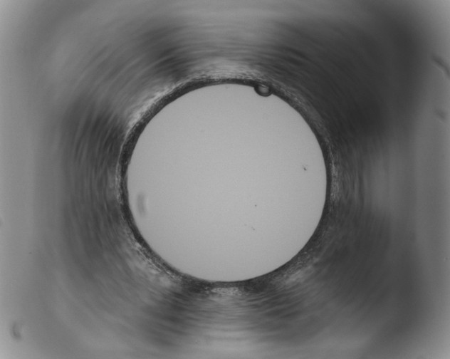 X0000103490391200810241106
