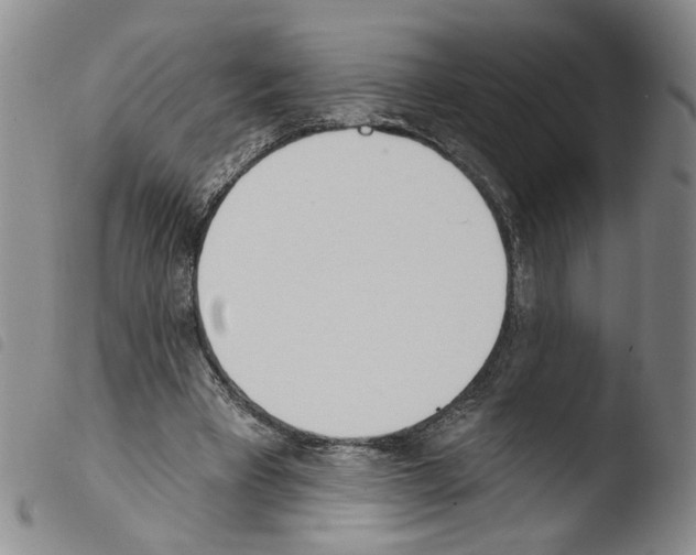 X0000103490393200810241106