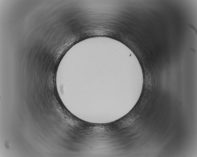 X0000103490394200810241106