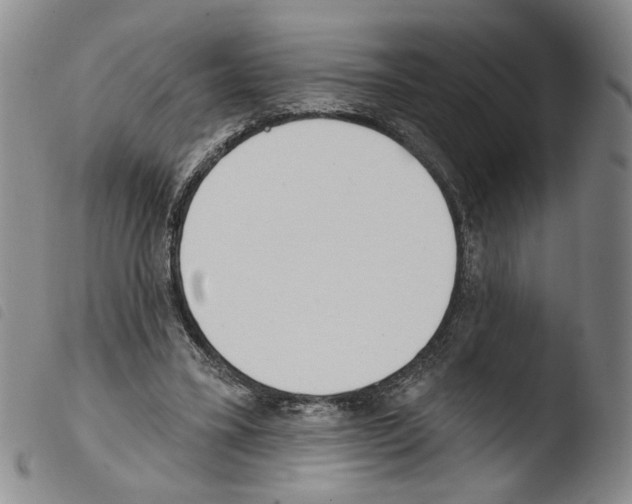 X0000103490395200810241106