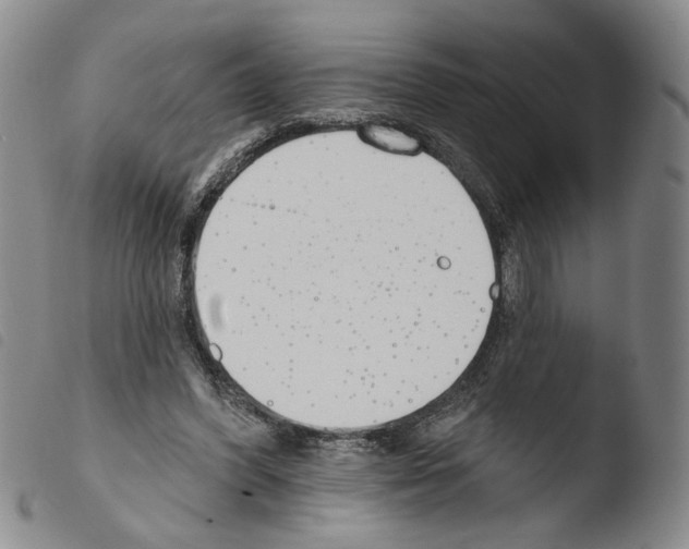 X0000103490396200810241106