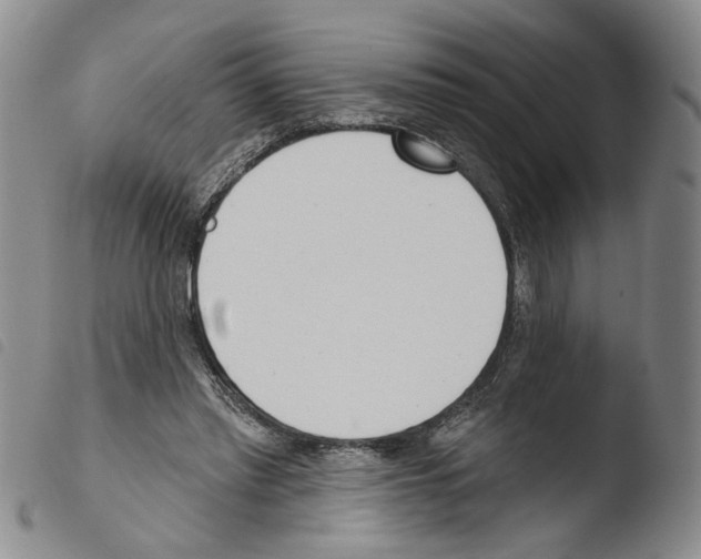 X0000103490397200810241106