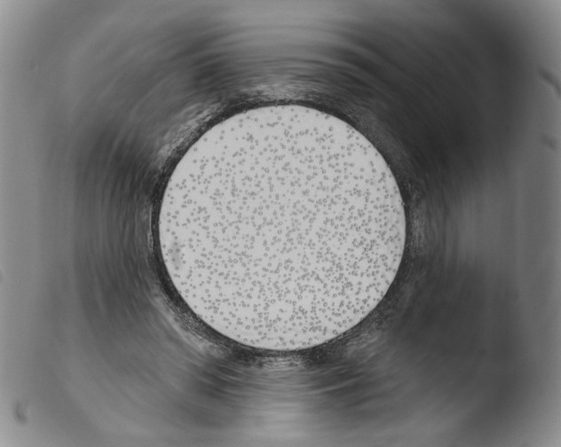 X0000103490398200810241106