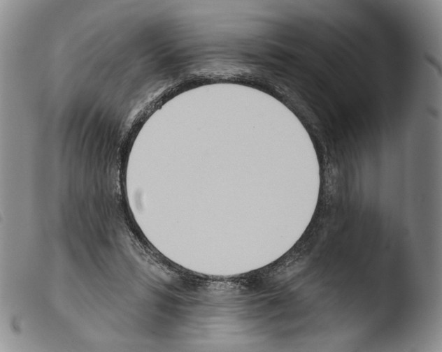 X0000103490399200810241106