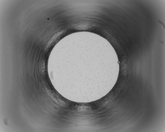 X0000103490400200810241106