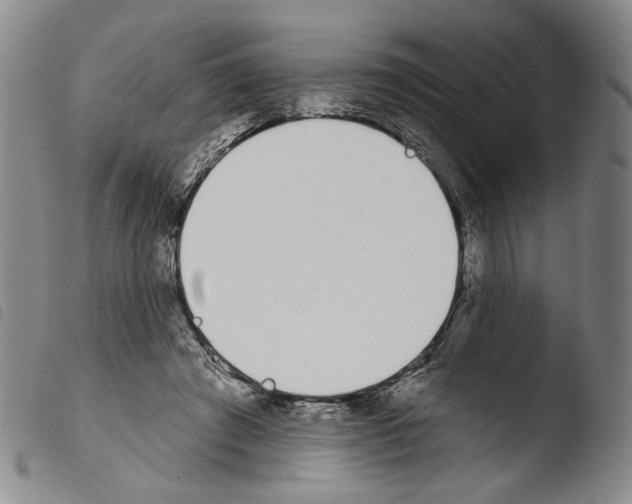 X0000103490401200810241106