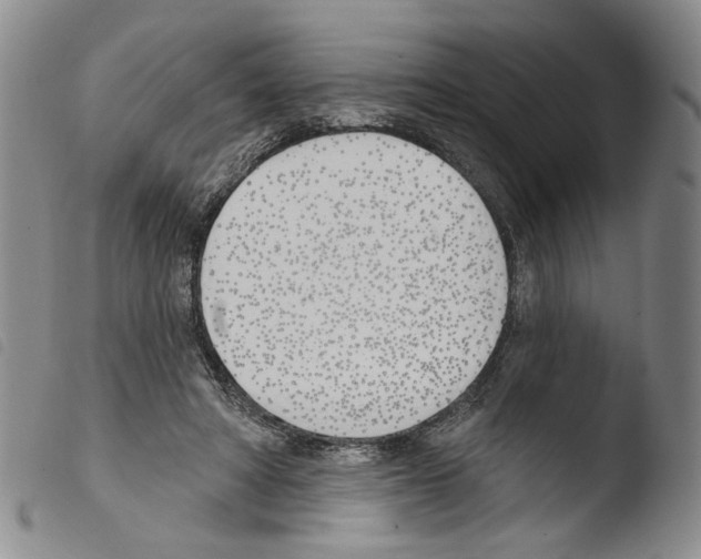X0000103490402200810241106