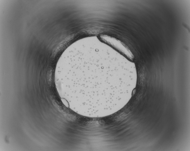 X0000103490404200810241106