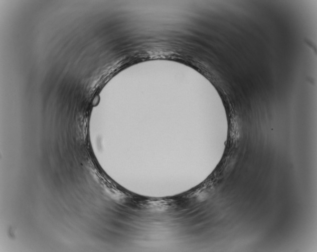 X0000103490405200810241106