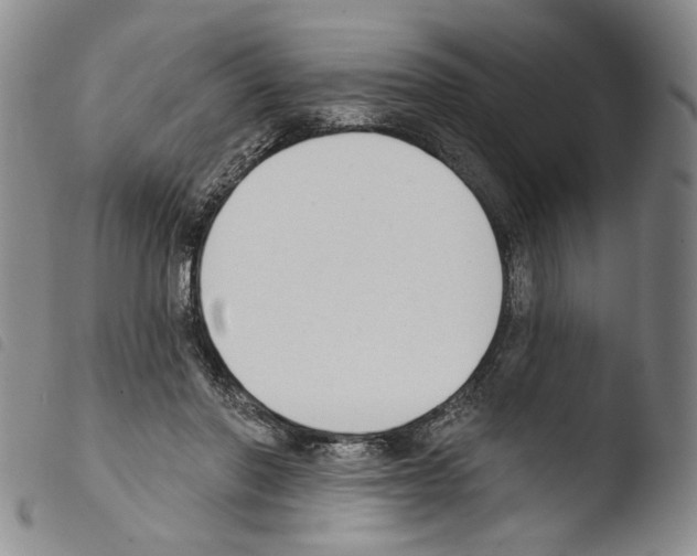 X0000103490406200810241106