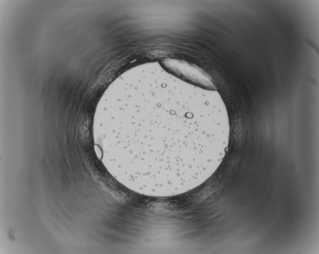 X0000103490408200810241106