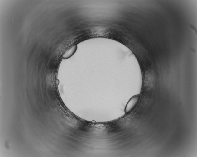 X0000103490409200810241106