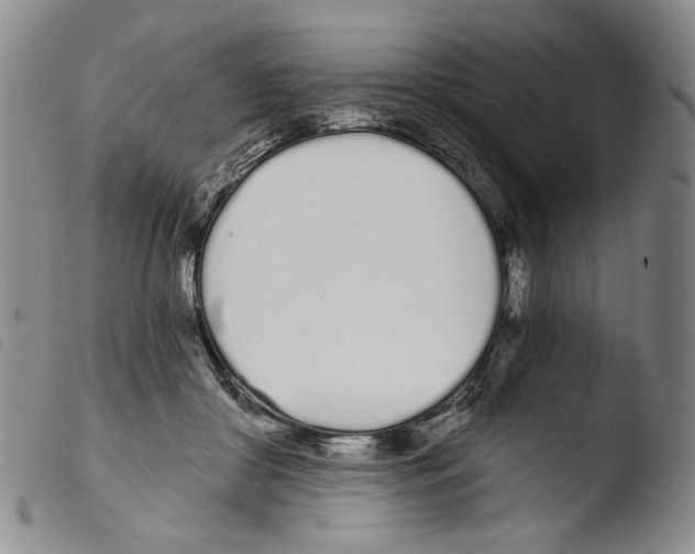 X0000103490410200810241106
