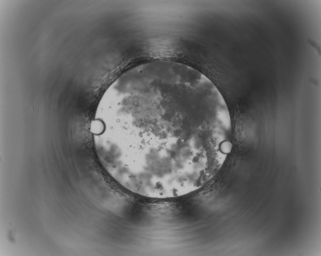X0000103490411200810241106