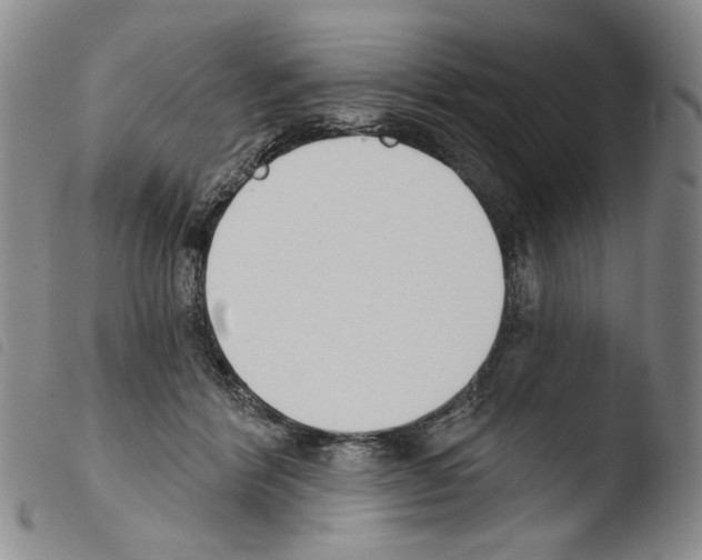 X0000103490412200810241106