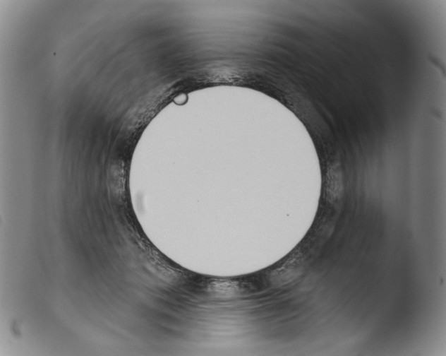 X0000103490413200810241106