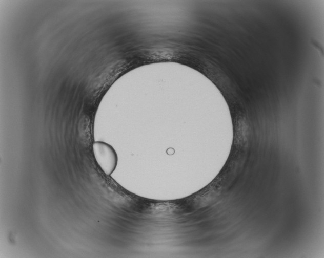 X0000103490414200810241106