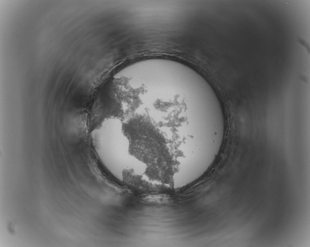 X0000103490415200810241106