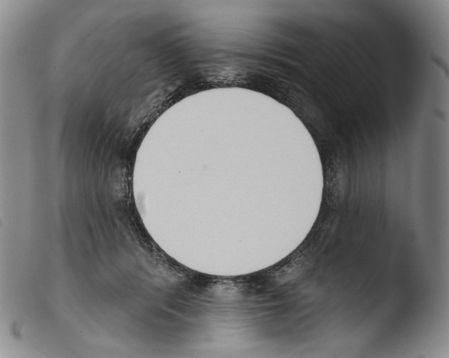 X0000103490416200810241106