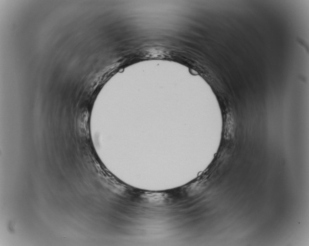 X0000103490417200810241106