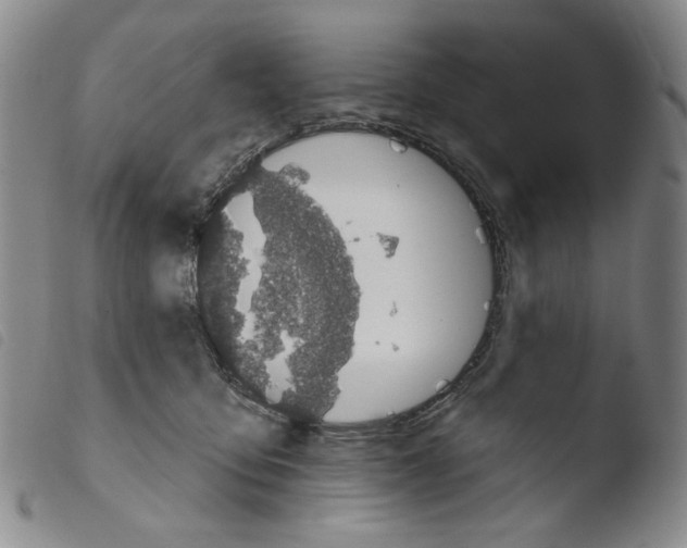 X0000103490419200810241106