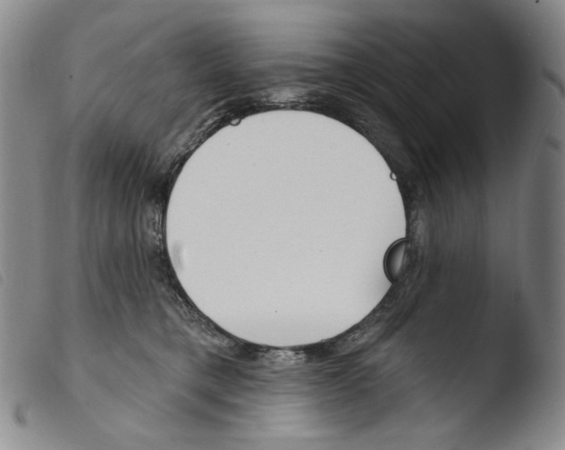 X0000103490421200810241106