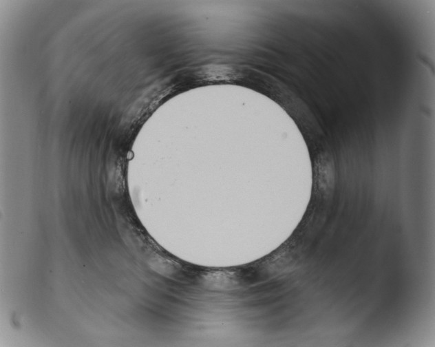 X0000103490422200810241106