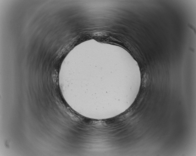 X0000103490424200810241106
