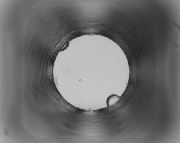 X0000103490425200810241106