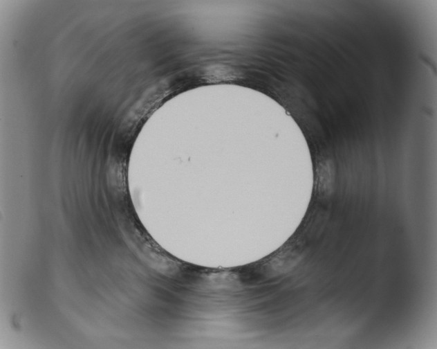 X0000103490426200810241106