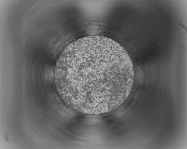 X0000103490427200810241106