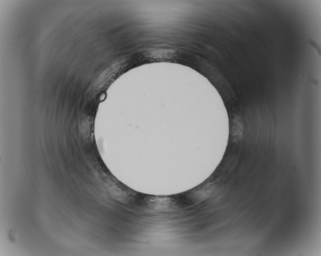 X0000103490428200810241106