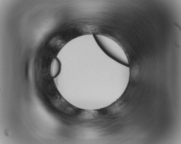 X0000103490429200810241106