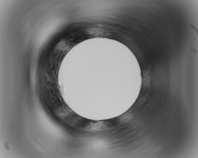 X0000103490430200810241106