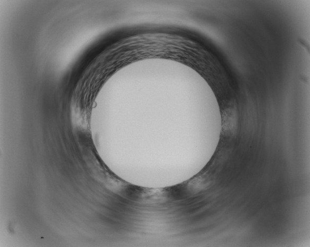 X0000103490431200810241106