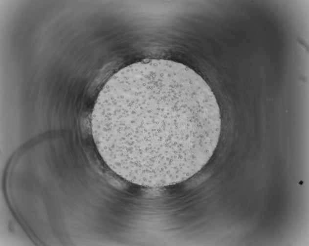 X0000103490432200810241106
