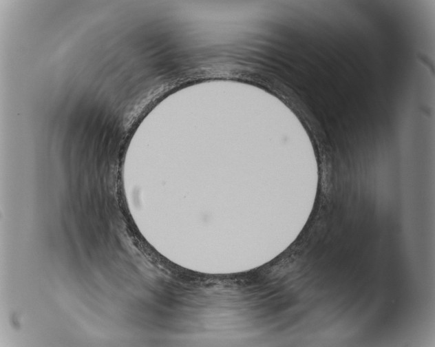 X0000103490434200810241105