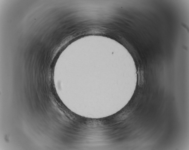 X0000103490435200810241105