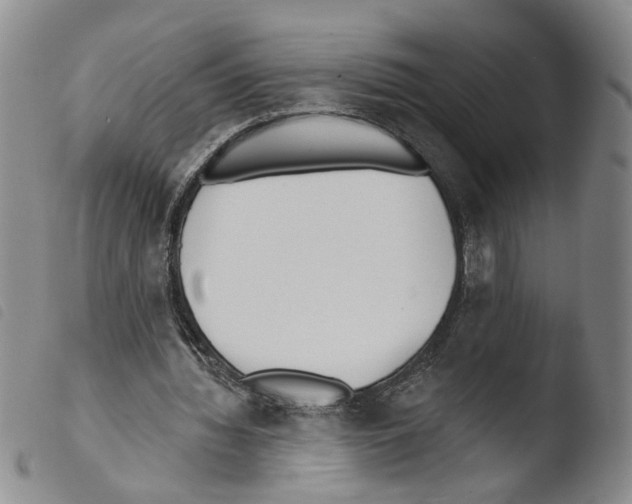 X0000103490436200810241105