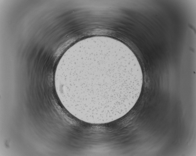 X0000103490437200810241105