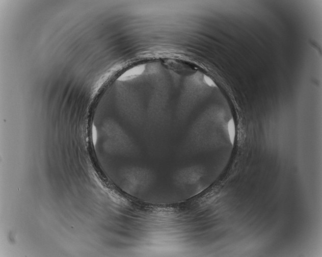 X0000103490438200810241105