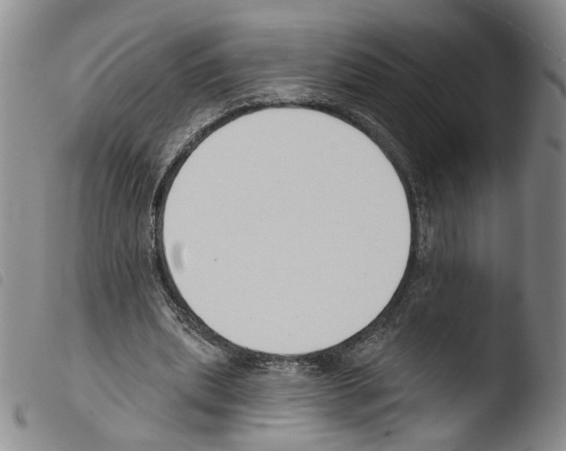 X0000103490439200810241105