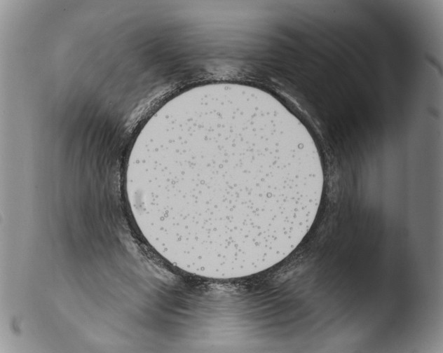 X0000103490442200810241105