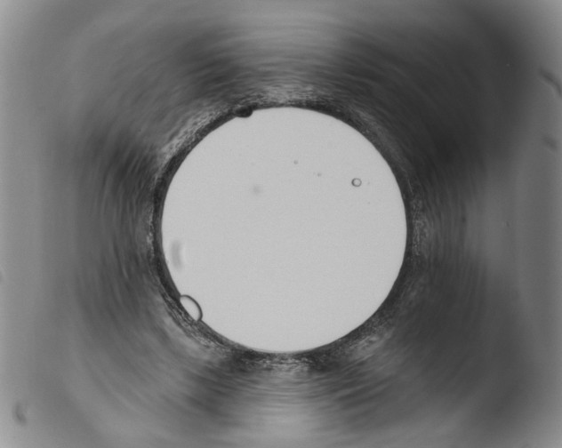 X0000103490443200810241105