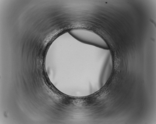 X0000103490444200810241105