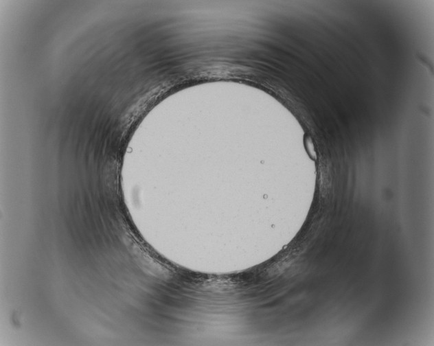 X0000103490445200810241105