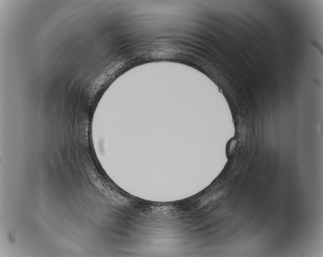X0000103490446200810241105